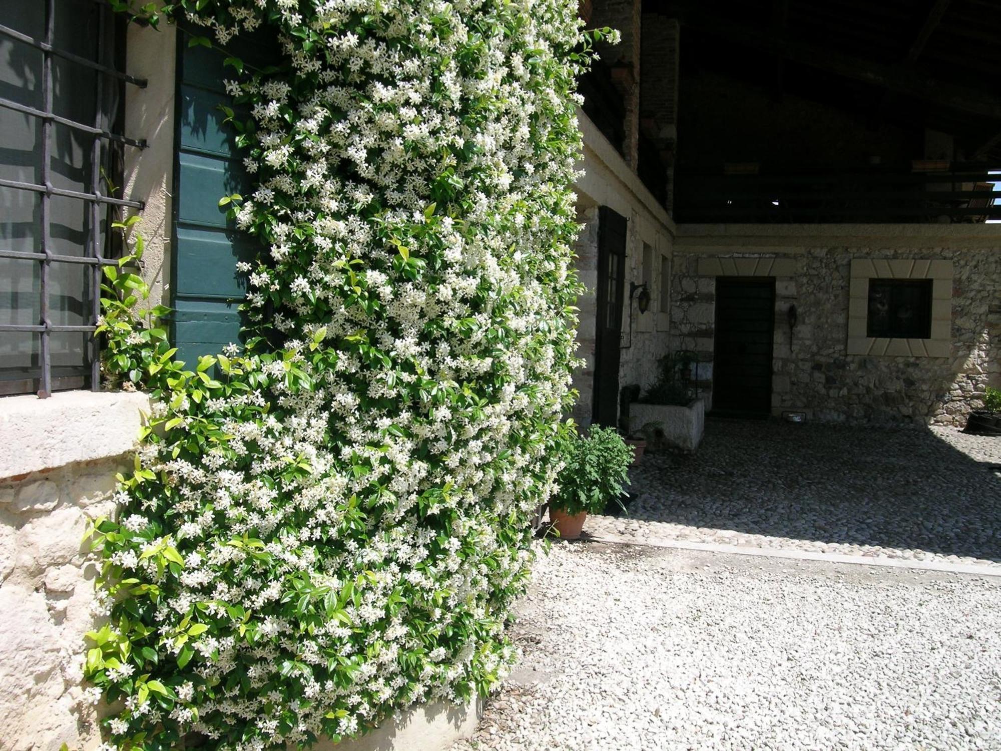 Farm stay I Costanti Caldiero