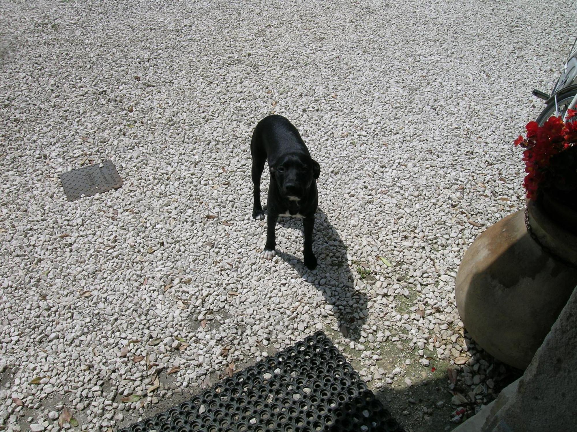 I Costanti Bauernhof