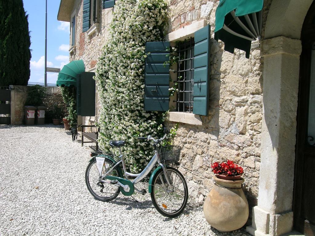 I Costanti