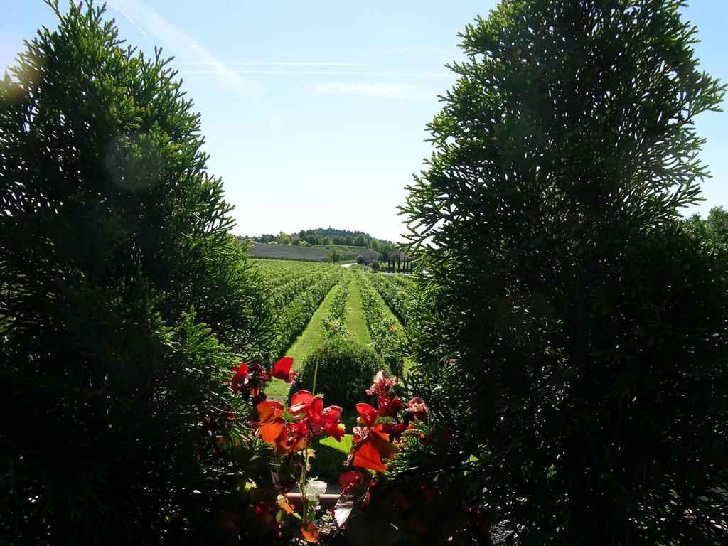 I Costanti Agroturismo *